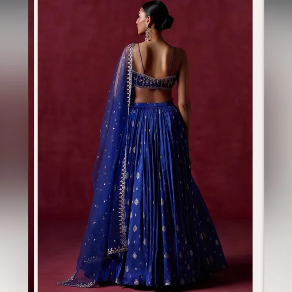 Elegant Royal Blue Embroidered Lehenga - Picture 5 of 13